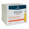 Endocare Radiance C 20 Proteoglicanos 30 Ampollas
