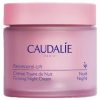 CAUDALIE RESVERATROL-LIFT CREAM  TISANA NOCHE 50 ML