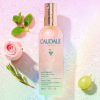 CAUDALIE AGUA DE BELLEZA 100ML