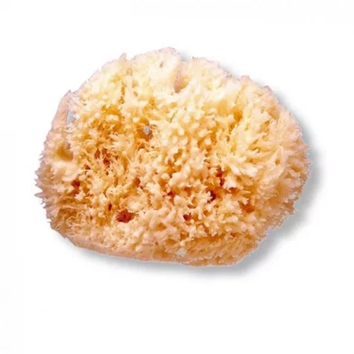 ESPONJA NATURAL GRANDE